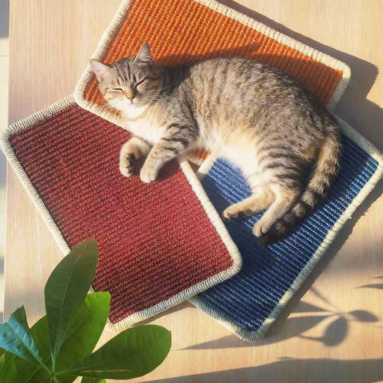 Pet cloth